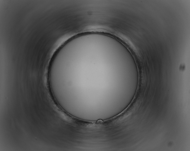 X0000101181277200807181439