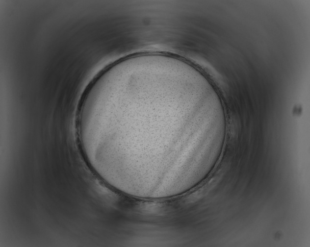 X0000101181278200807181439