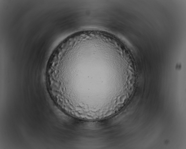 X0000101181279200807181439