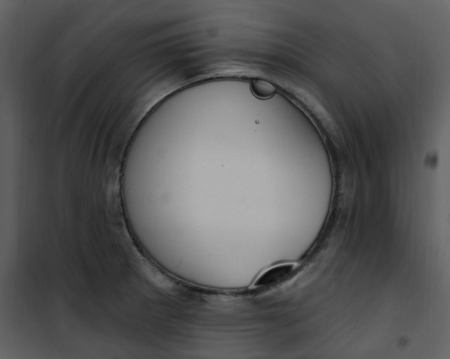 X0000101181281200807181439