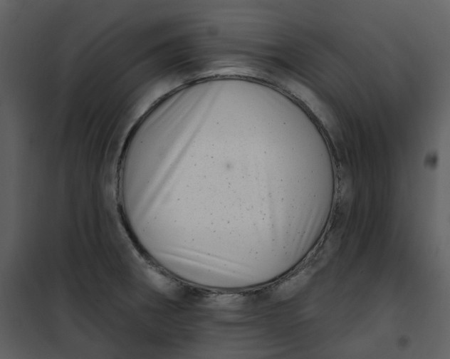 X0000101181282200807181439