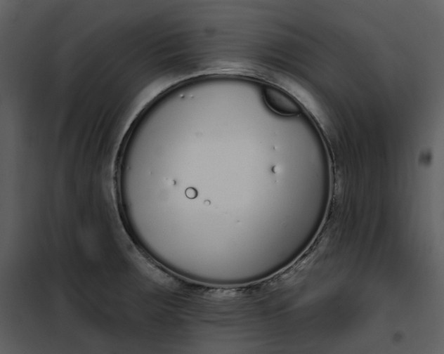 X0000101181283200807181439