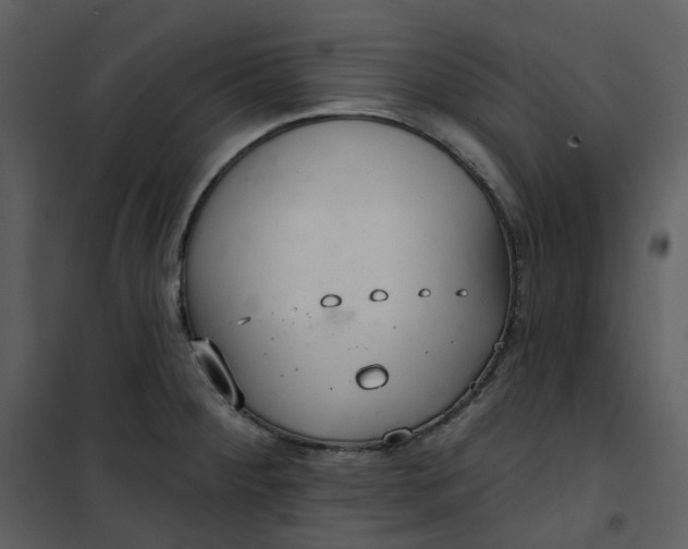 X0000101181284200807181439