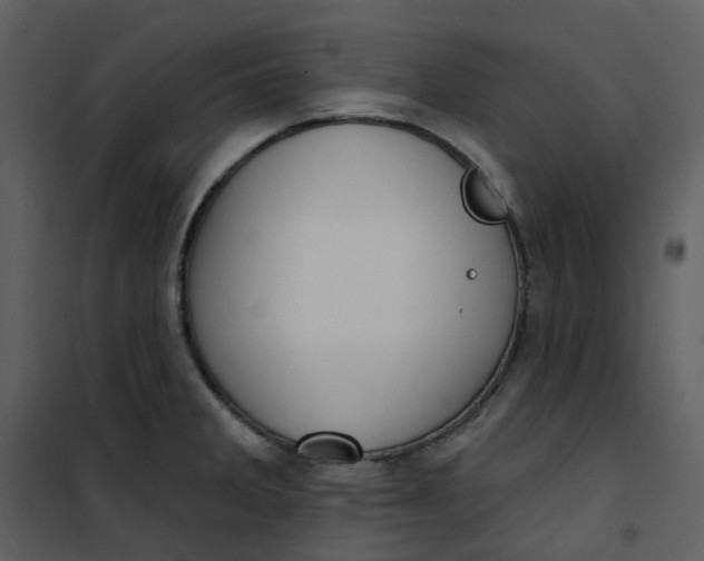 X0000101181285200807181439