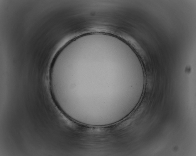 X0000101181286200807181439