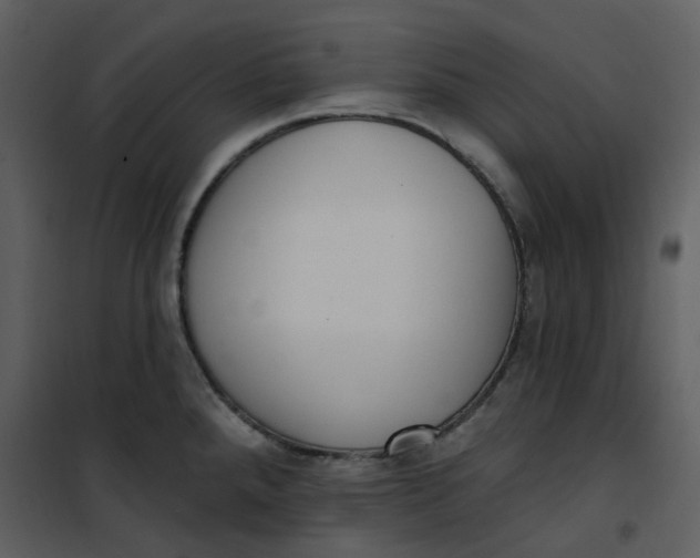 X0000101181288200807181439