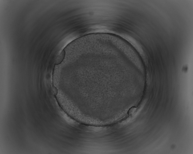 X0000101181289200807181439