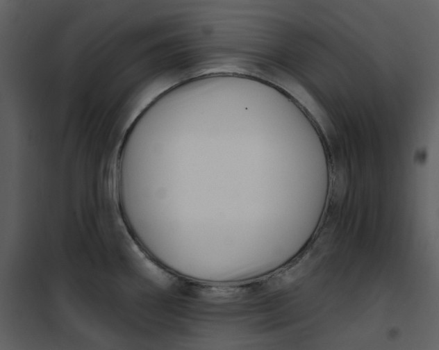 X0000101181290200807181439