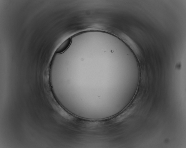 X0000101181292200807181439