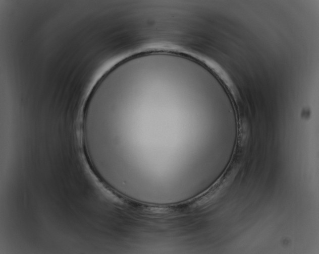 X0000101181295200807181439