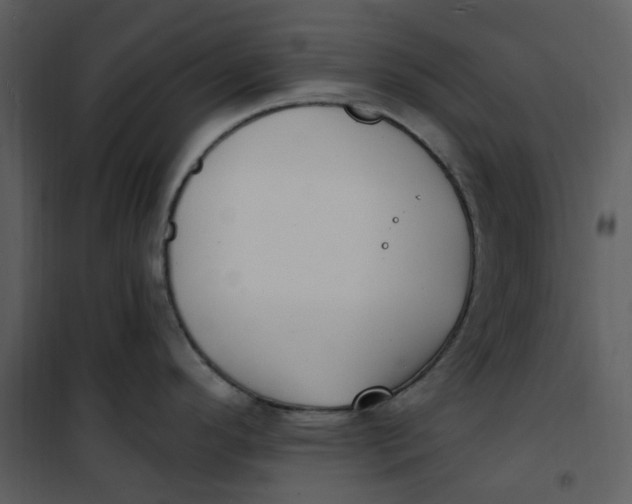 X0000101181296200807181439