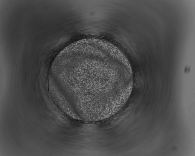 X0000101181297200807181438