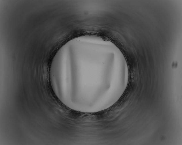 X0000101181298200807181438