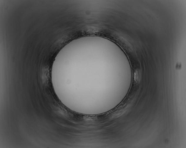 X0000101181299200807181438