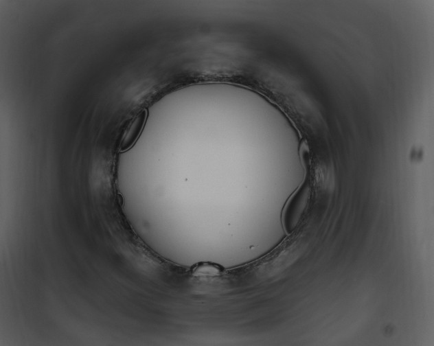 X0000101181300200807181438