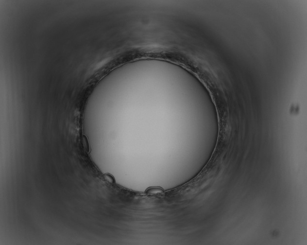 X0000101181301200807181438