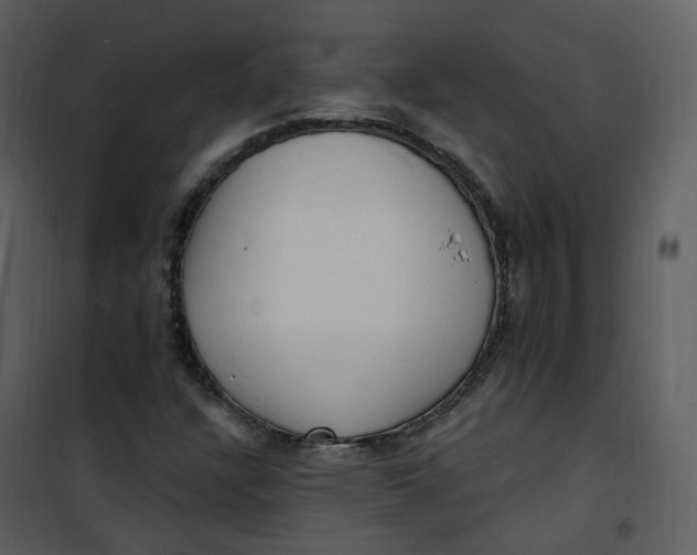 X0000101181304200807181438