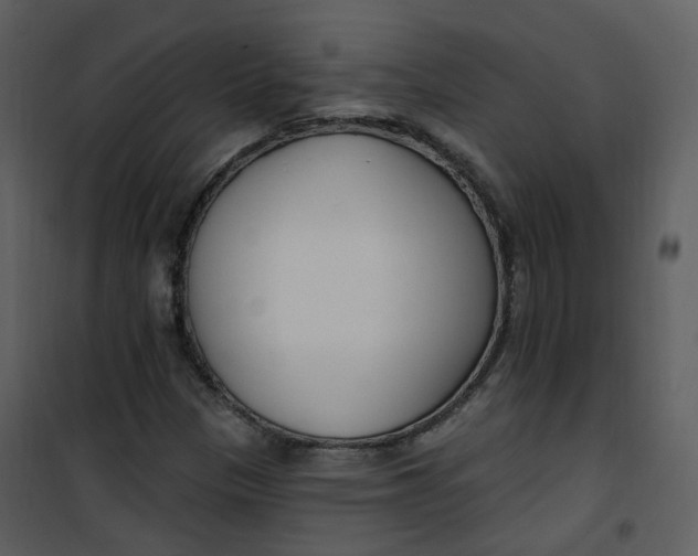 X0000101181305200807181438