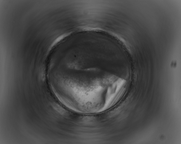 X0000101181306200807181438