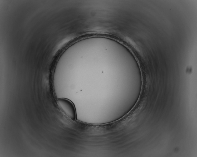 X0000101181307200807181438