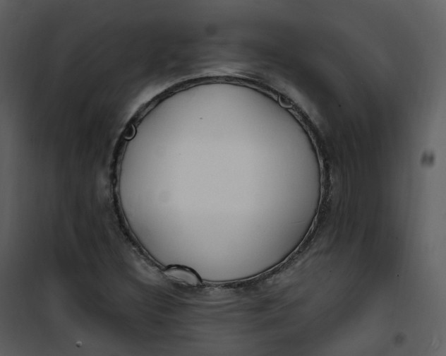 X0000101181308200807181438