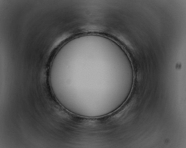 X0000101181309200807181438