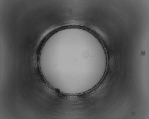 X0000101181310200807181438