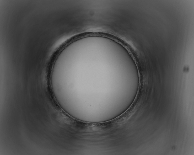 X0000101181311200807181438