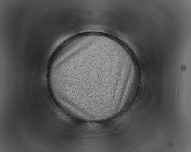 X0000101181312200807181438