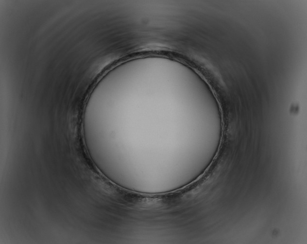 X0000101181313200807181438