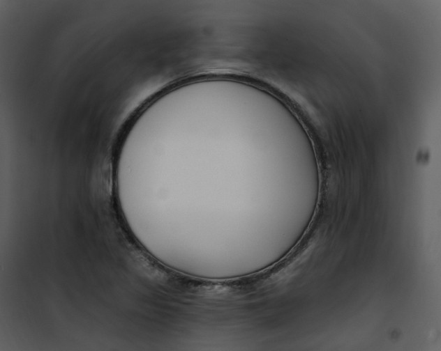 X0000101181317200807181438