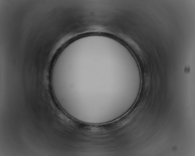 X0000101181318200807181438