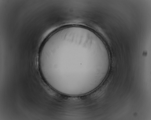 X0000101181320200807181439