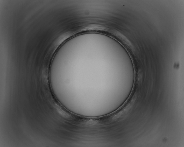 X0000101181321200807181439