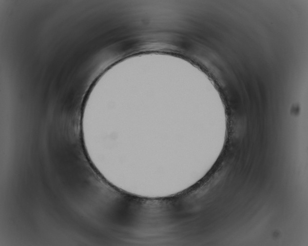 X0000101181322200807181439