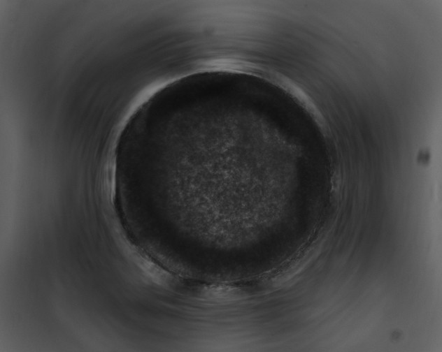 X0000101181323200807181439