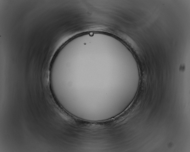 X0000101181324200807181439