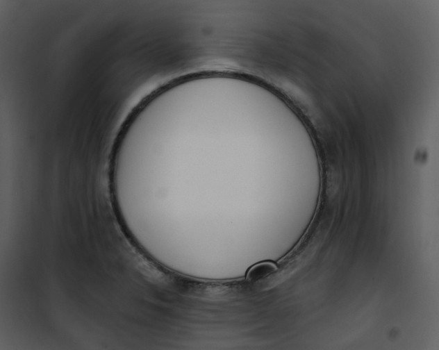 X0000101181326200807181439