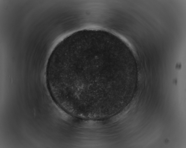 X0000101181327200807181439