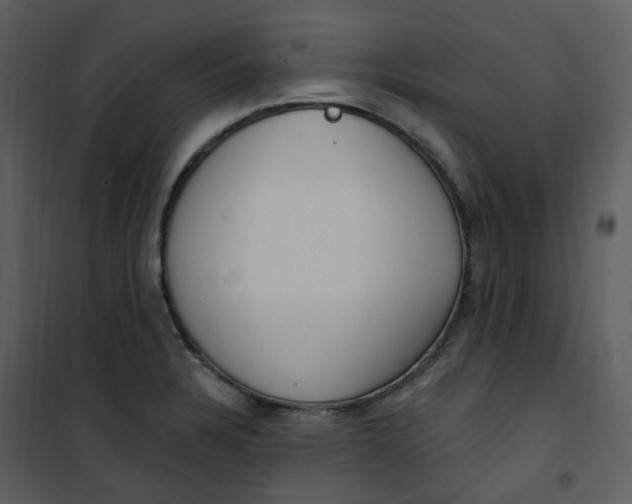 X0000101181328200807181439