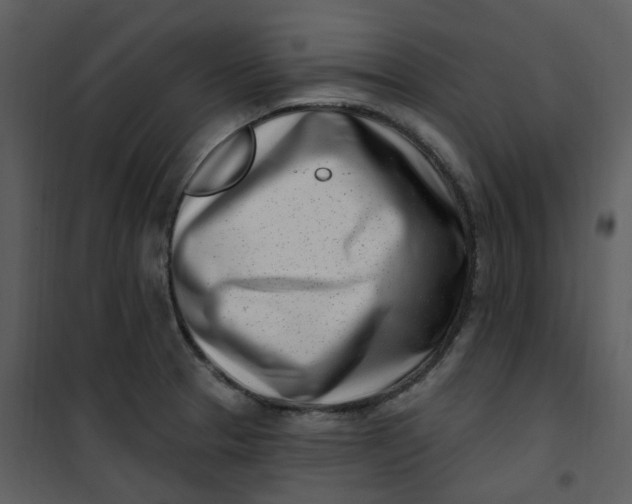 X0000101181329200807181439