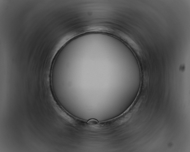 X0000101181330200807181439