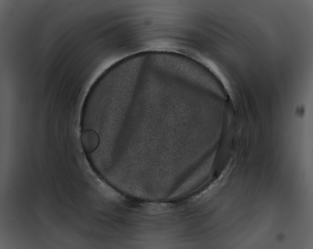 X0000101181331200807181439