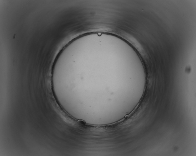 X0000101181332200807181439