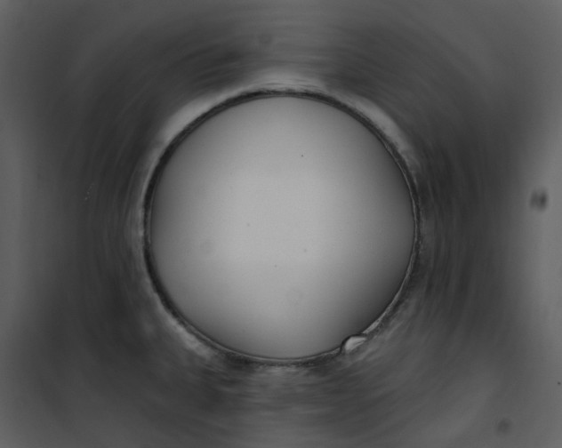 X0000101181335200807181439