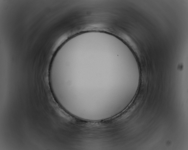 X0000101181336200807181439