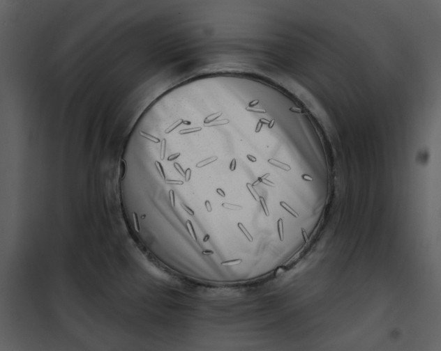 X0000101181337200807181439