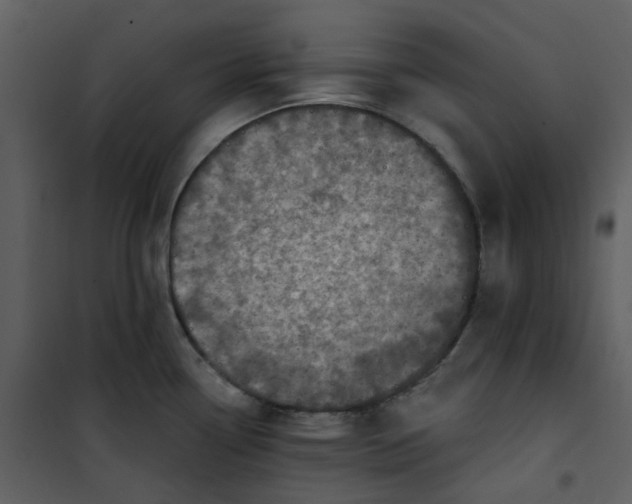 X0000101181338200807181439