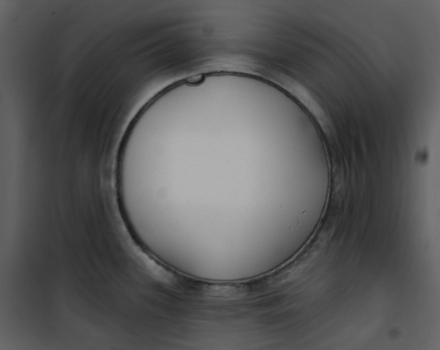 X0000101181339200807181439