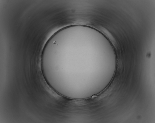 X0000101181340200807181439